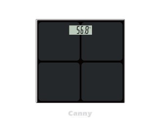 Canny high-precision household scale